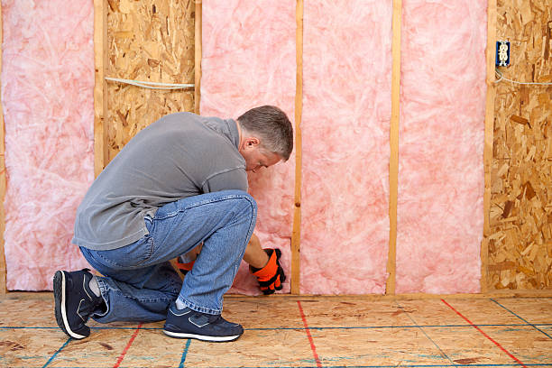 Best Commercial Insulation in Bellair Meadowbrook Terrace, FL